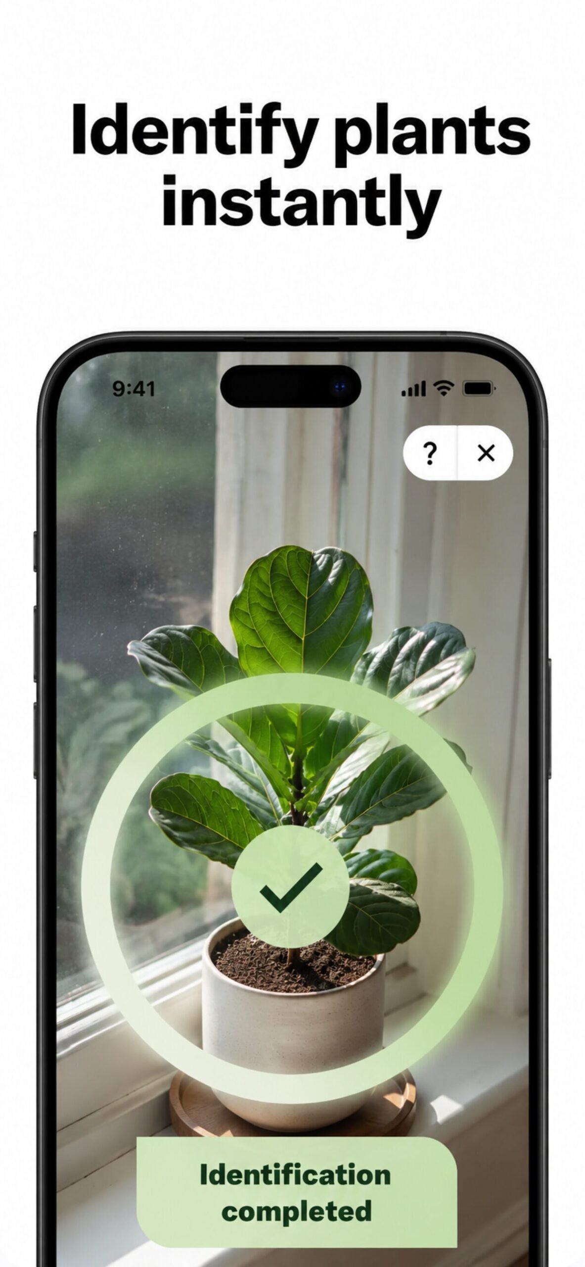 The Garden DremiAI app identifying a fiddle leaf fig houseplant from a phone photo, showing identification completed